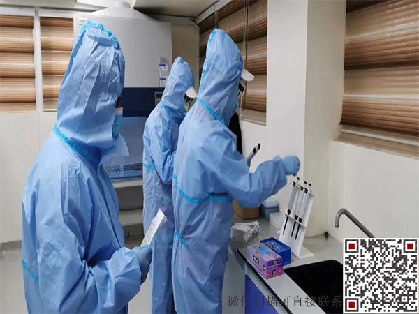 1688027180868483.jpg 5.16.5.jpg